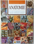 Anatomie - ilustrovaný atlas