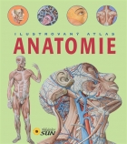 Anatomie ilustrovaný atlas